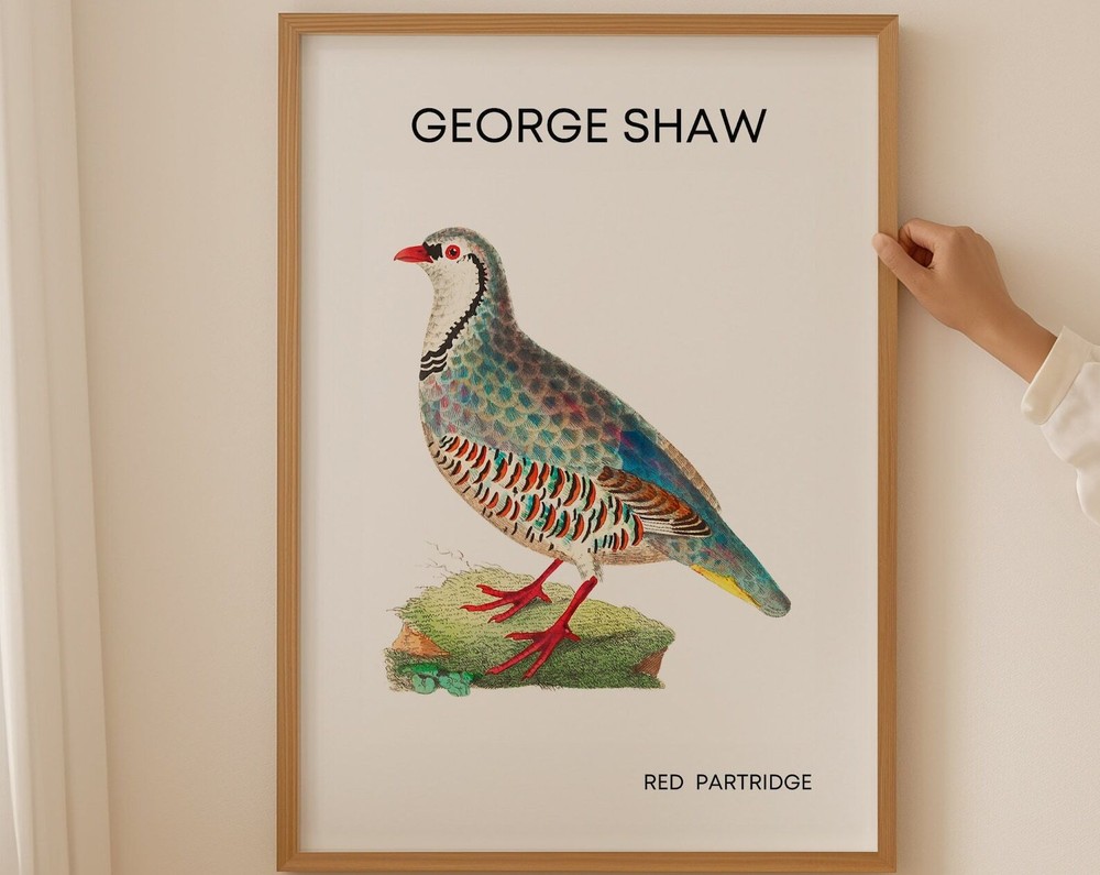 British Garden Birds Wall Art Prints Farmhouse Wall Decor Vintage Poster