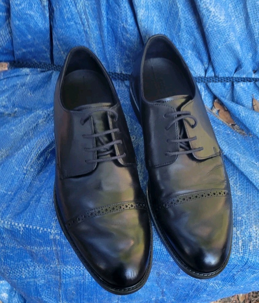 ECCO 'Vitrus' Black Leather Cap Toe Dress Shoes C64023401001 US 12 EU 46 - NEW!