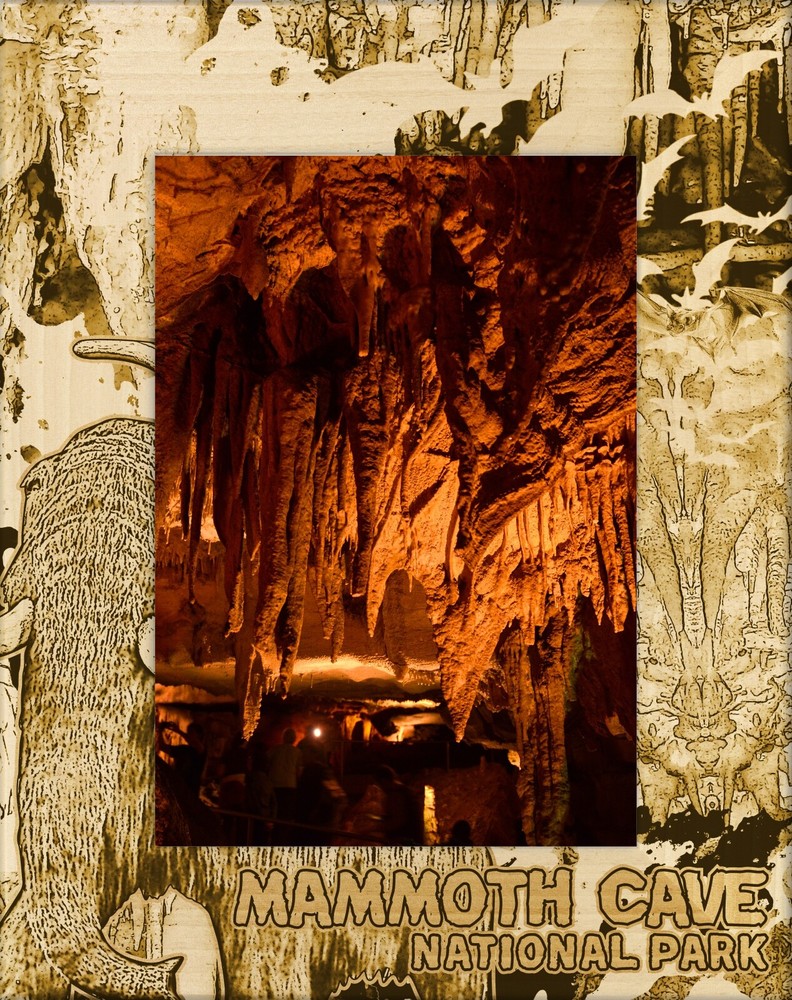 Mammoth Cave National Park Laser Engraved Wood Picture Frame Portrait (4 x 6)