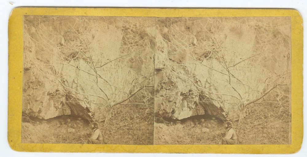 D1094~ PENNSYLVANIA – Forest Glade Near Reading Stereoview c.1870 – C. Saylor