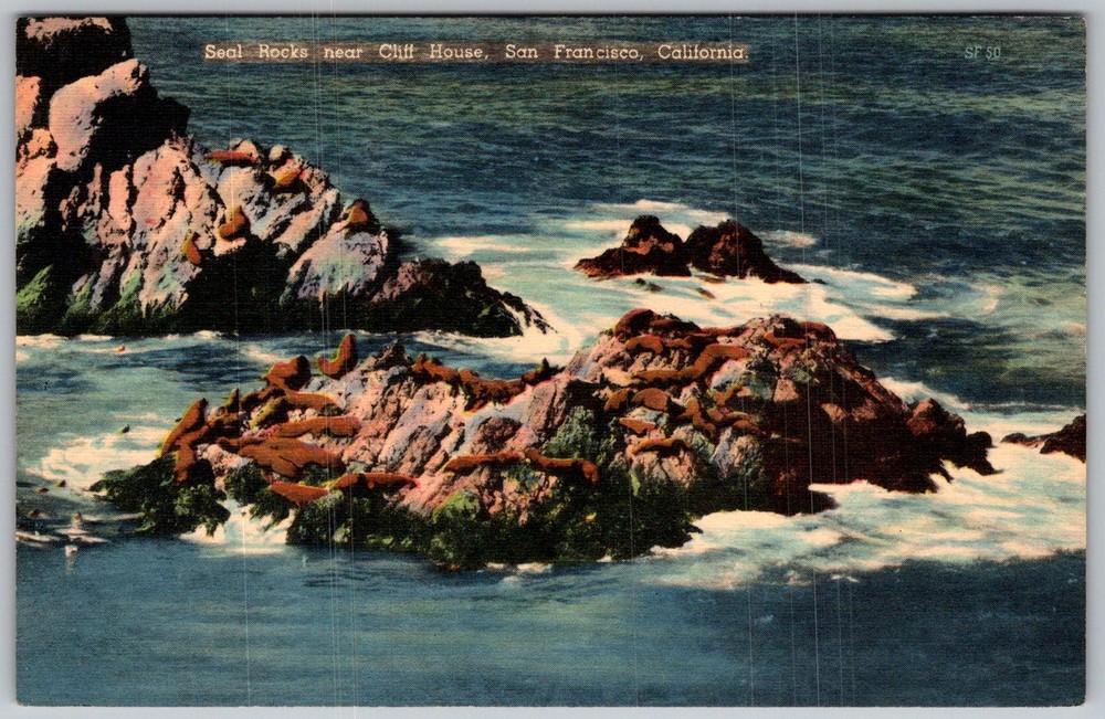 Vtg Linen Postcard Seals Seal Rocks San Francisco, CA 1940s