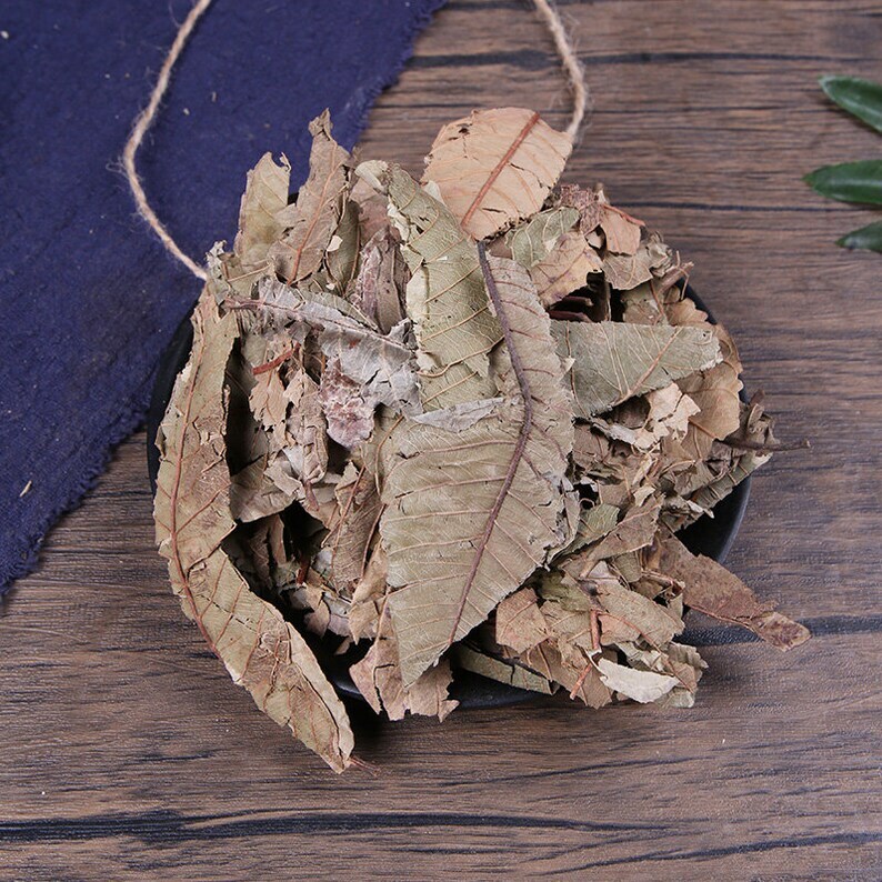 Organic Herbal Guava Leaf Psidium Guajava Fan Shi Liu Ye Great Quality