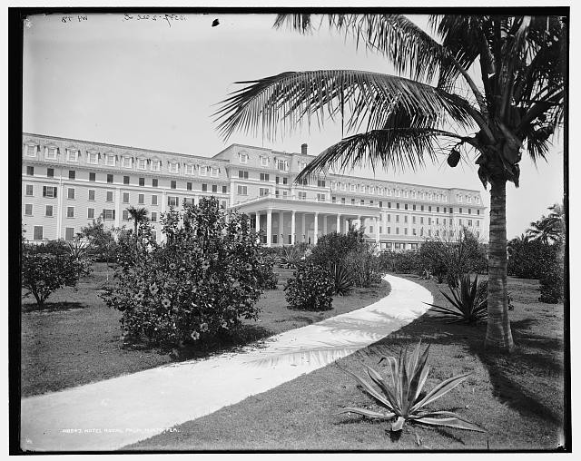 Photo:Miami Fla Royal Palm Hotel ca 1900 Palm Trees Garden Path