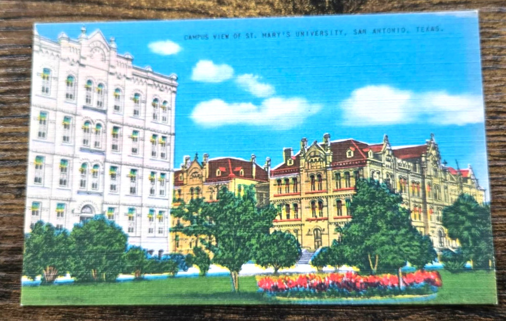 St. Mary's University San Antonio Texas Campus View Linen Postcard