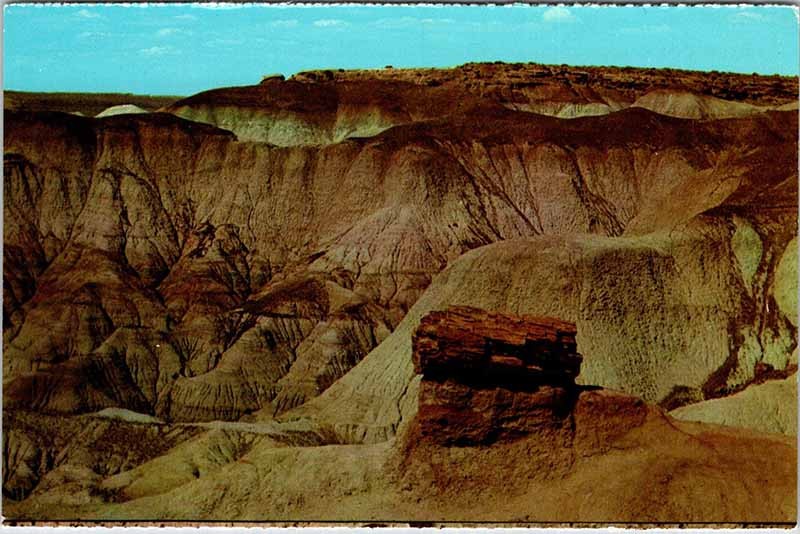 Postcard SCENE Petrified Forest National Park Arizona AZ m/09 AO8567