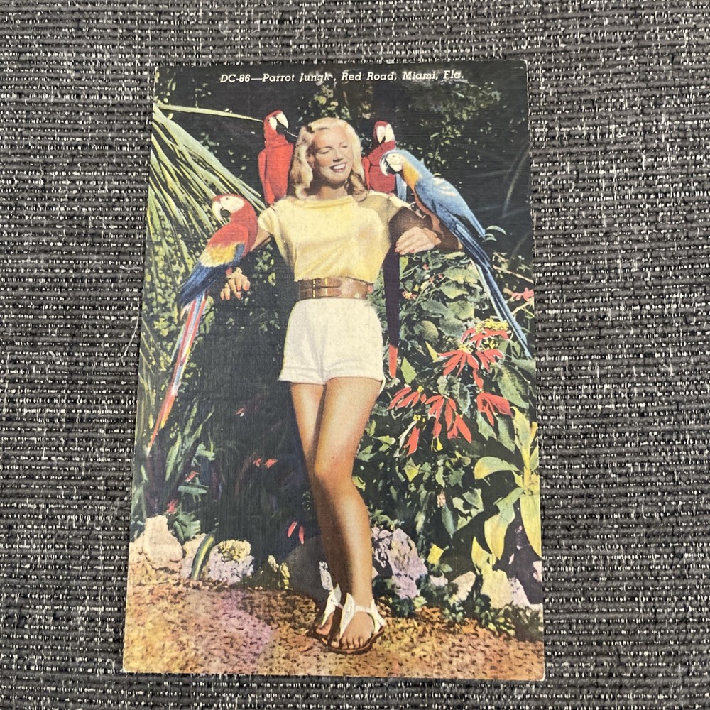Vintage Linen Postcard Miami, Florida~ A Beauty & Macaws At Parrot Jungle