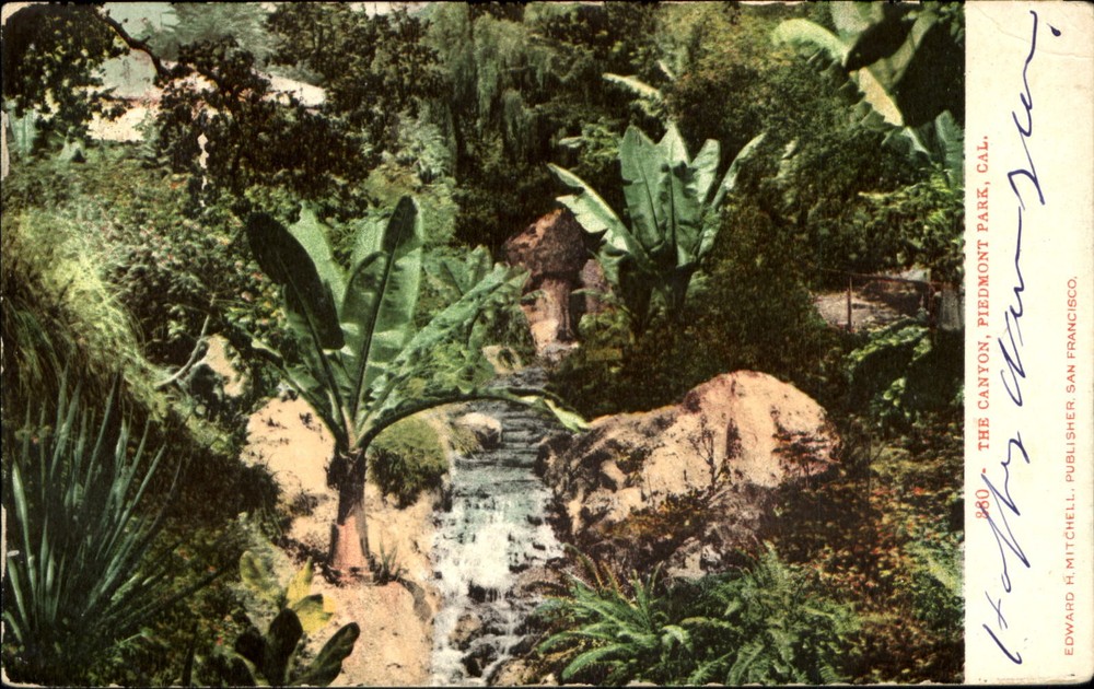 Canyon Piedmont Park California CA Edward H Mitchell Publ~UDB mailed 1906