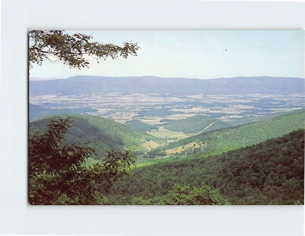 Postcard View of Shenandoah Valley and Massanutten Mountain Virginia USA