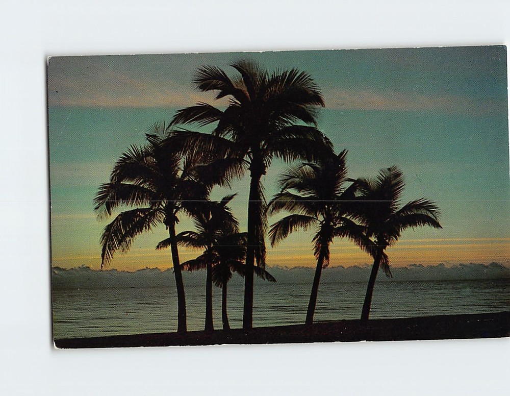 Postcard A Florida Sunrise USA North America