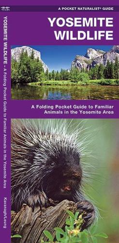 James Kavanagh’s Guide to Yosemite Wildlife by Waterford Press