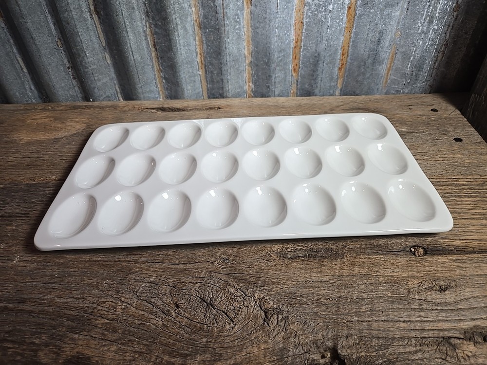 Food Network Deviled Egg Tray White Porcelain Serving Platter