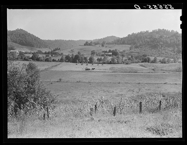 Photo:Jackson Kentucky 1940 Haying in Rural Valley Landscape