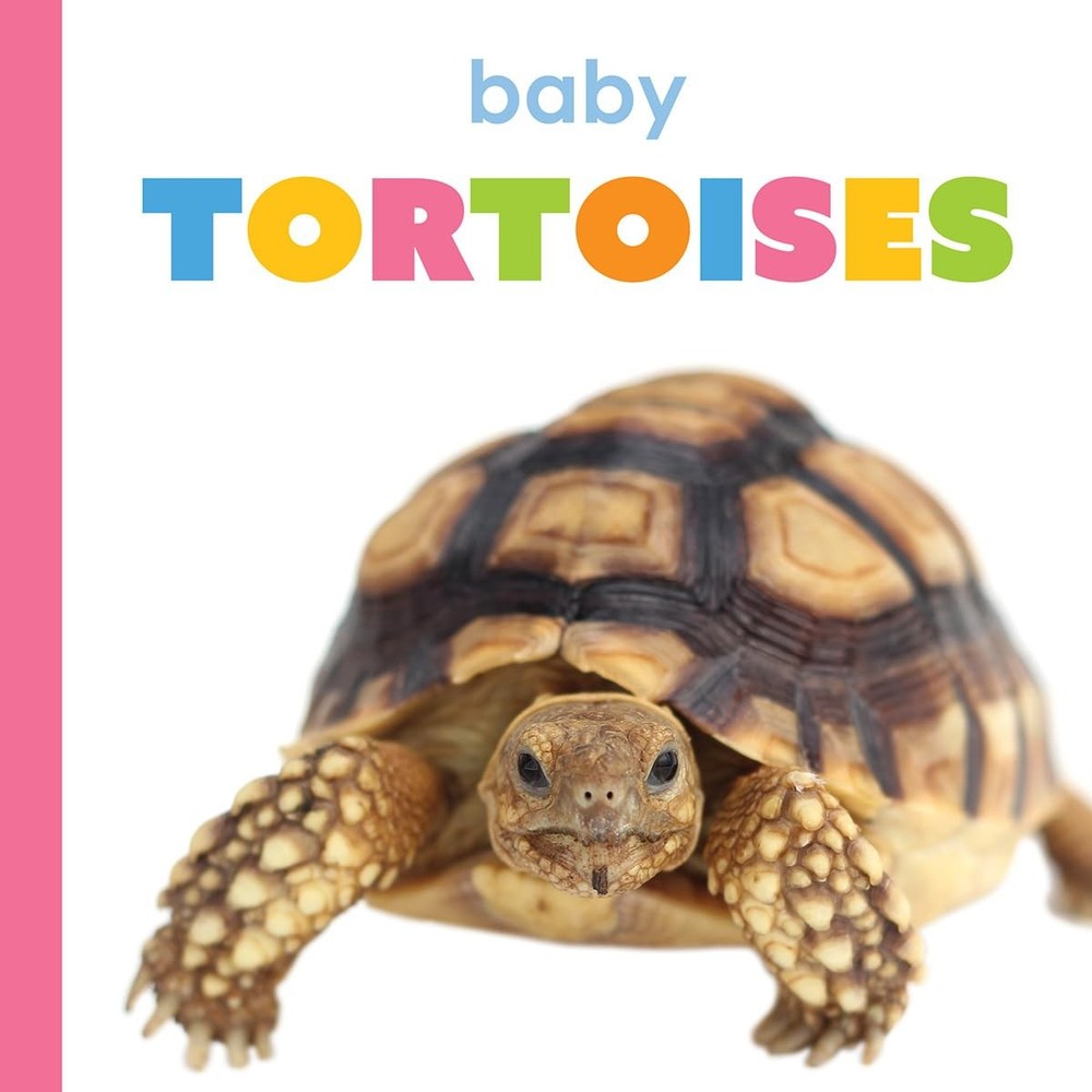 Meg Greve Baby Tortoises (Paperback)Another great item from Rarewaves USA | Free delivery!