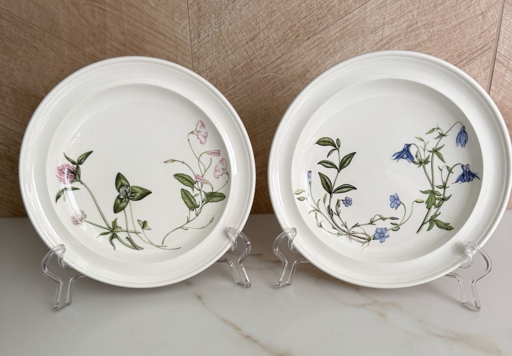 2 Portmeirion The Queen's Hidden Garden 7-1/2” Bread And Butter Plates