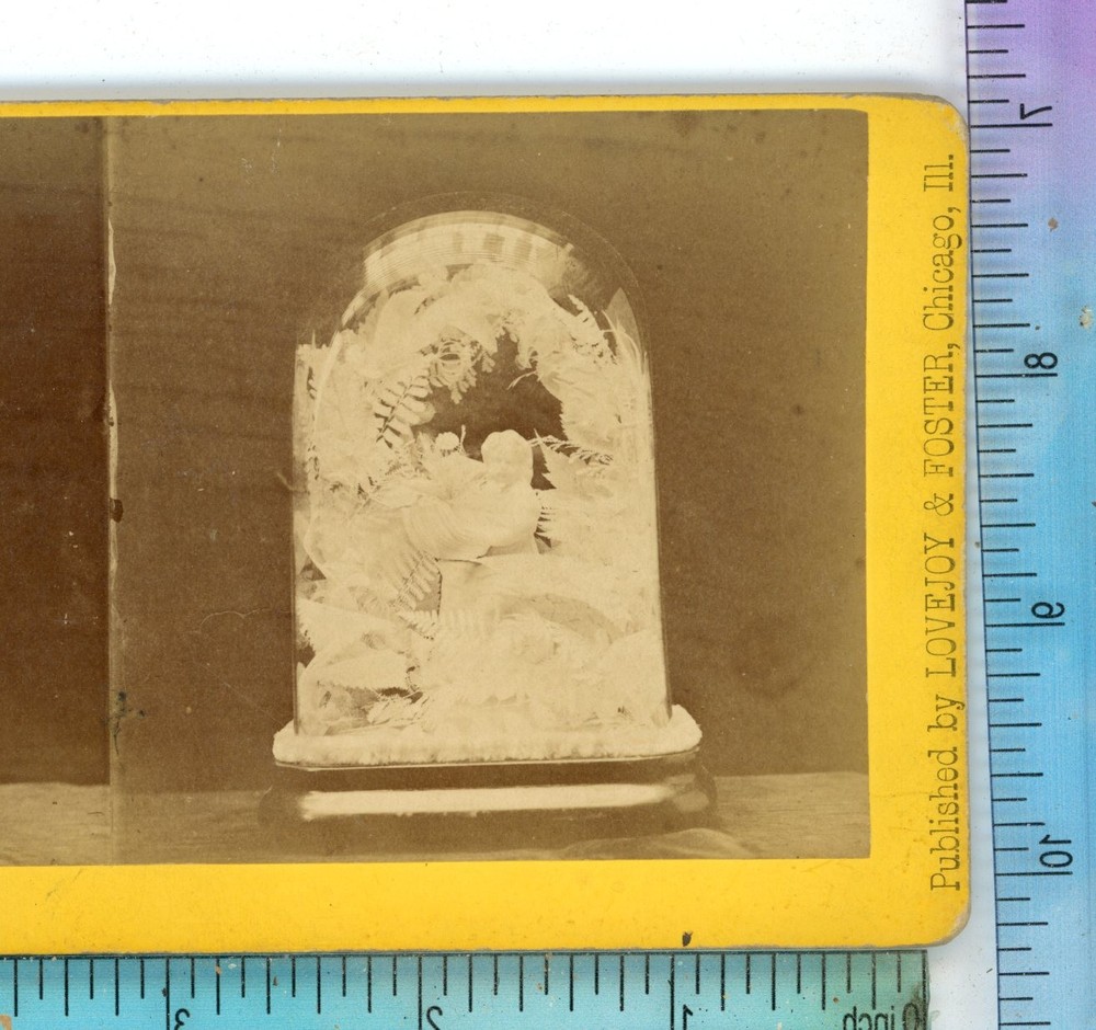 Phantom Bouquet Skeleton Leaves Lovejoy & Foster Stereoview