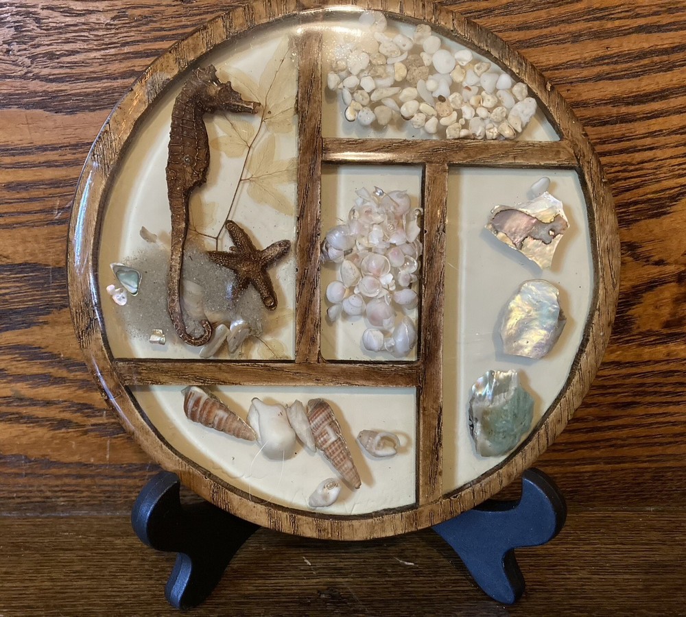 Vintage Lucite Round Trivet Beach Themed Decorations
