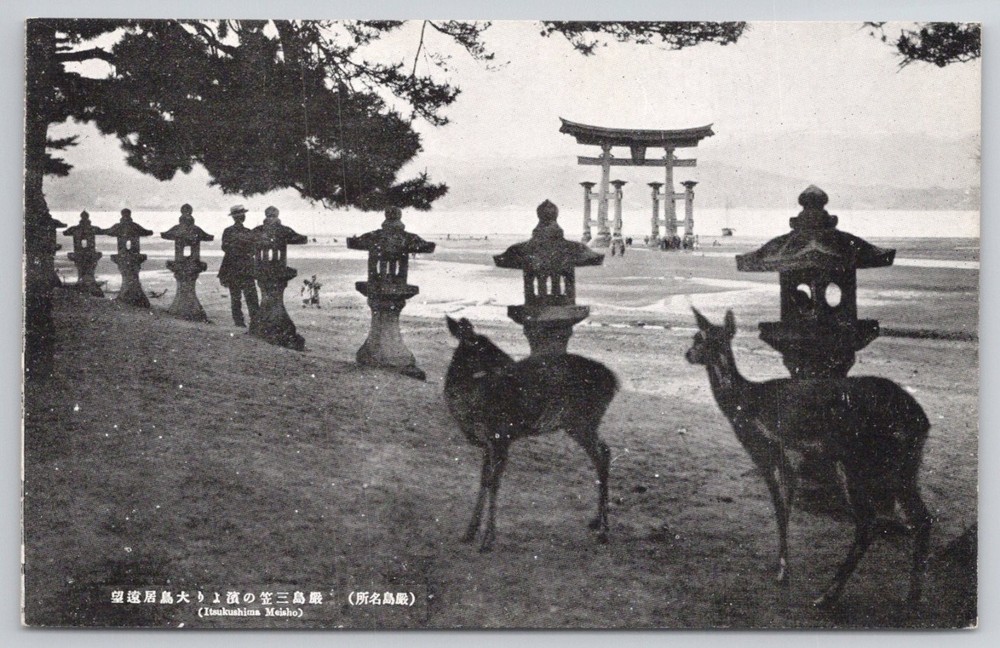 Vintage Miyajima Japan Postcard Itsukushima Shrine Torii Gate Deer