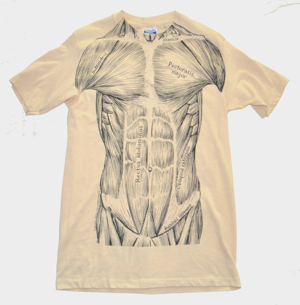 Vintage Anatomy Muscle T Shirt L Leslie Arwin Pat Bova 80s USA Single Stitch