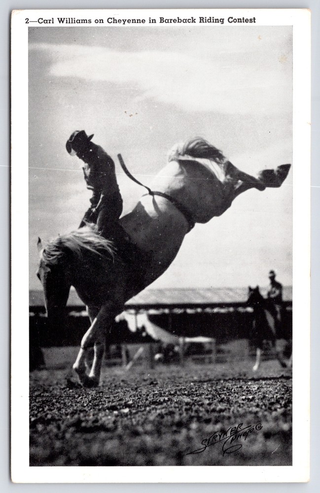 Western~Carl Williams On Cheyenne~Bareback Riding Contest~Strykers Pics~Vtg PC