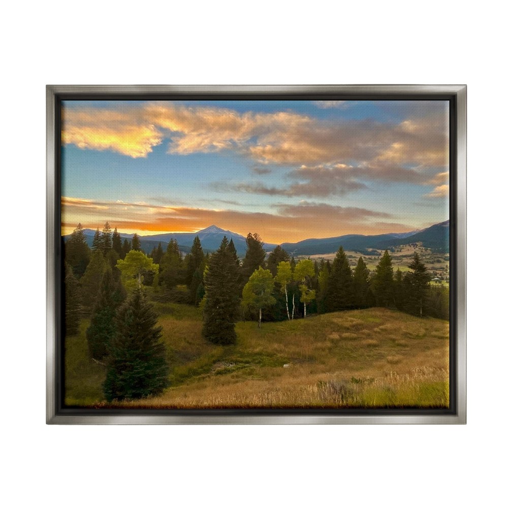 Montana Sunset Forest Clearing Framed Floater Canvas Wall Art, Design by Emil...