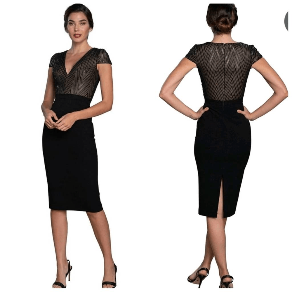 NWOT Dress the Population Ivy Sequin Mesh Pencil Dress Black Nude Lined Size S