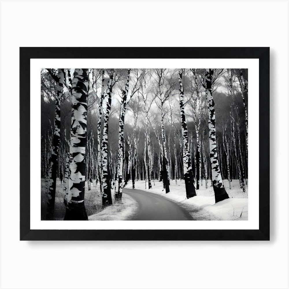 Birch Trees In Winter 3 Art Print Framed Wall Art Poster Canvas Print Picture