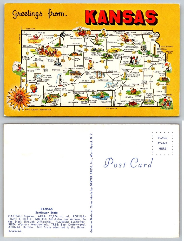 Greetings from Kansas Cartoon Map Postcard - Dexter Press State Flower Sunflower