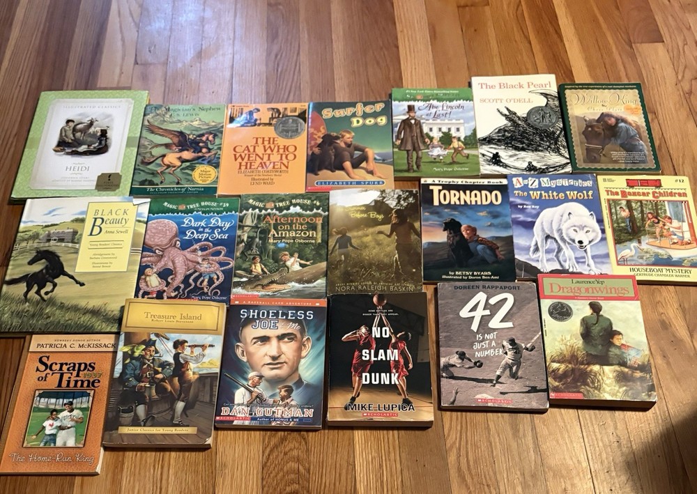 Lot Of 20 Mixed Preowned Children Chapter Books