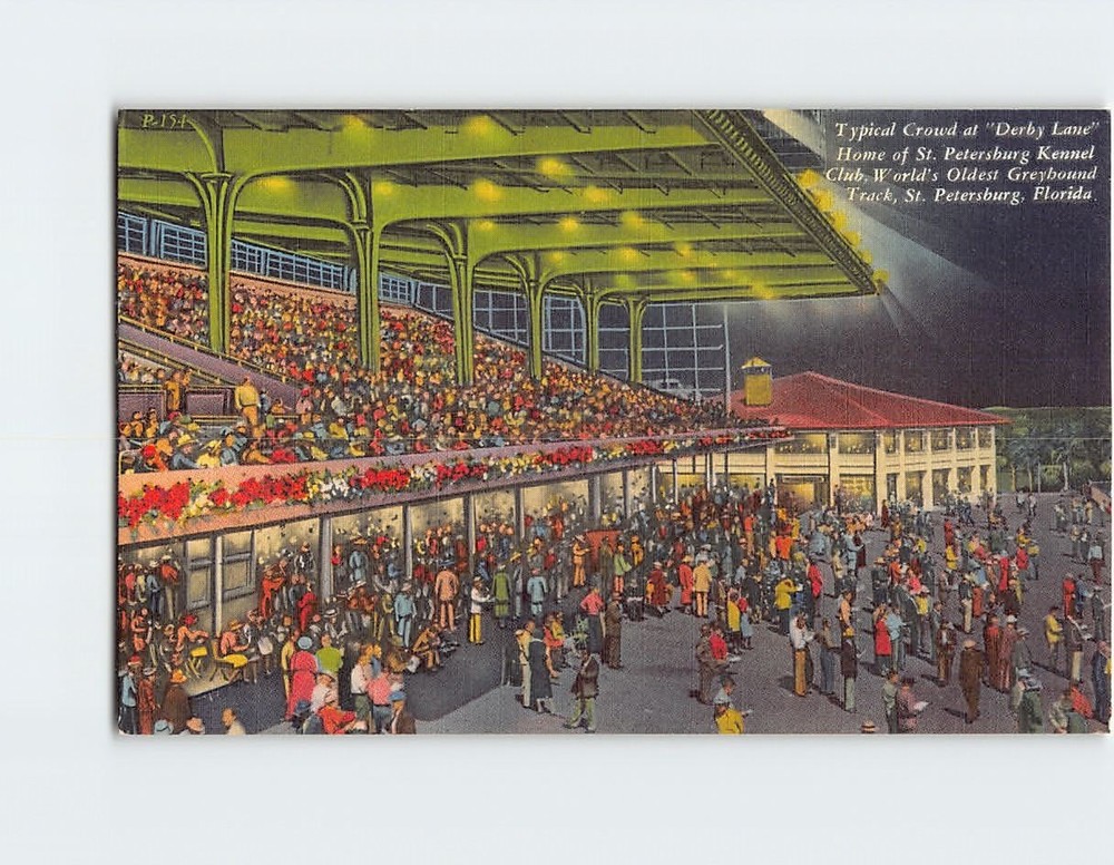 Postcard Typical Crowd at Derby Lane St. Petersburg Florida USA