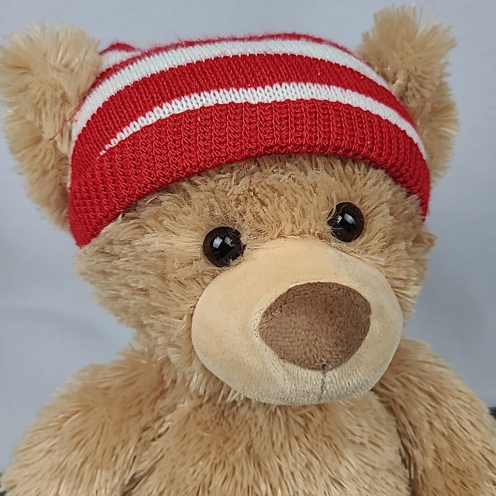 Gund PS by Aeropostale NYC 2013 Winter Teddy Bear Plush Stuffed Toy 11