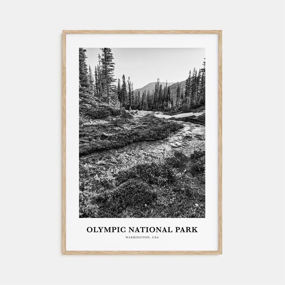 Olympic National Park Wall Art Olympic Wall Decor Olympic Poster Olympic Home