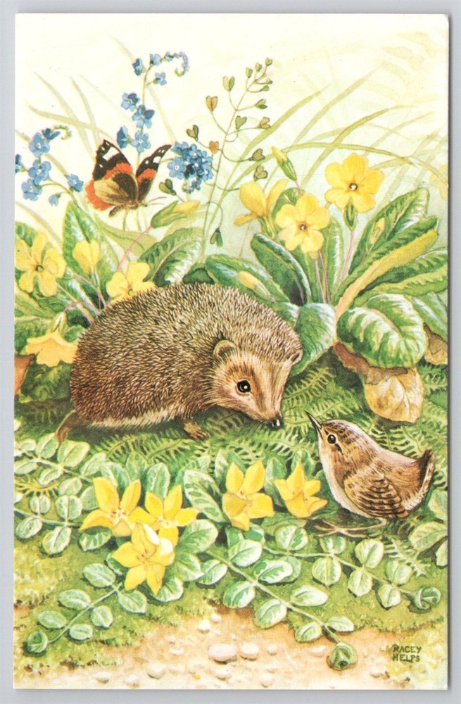 Woodland Gossips Racey Helps Artist Anthropomorphic Medici Postcard AH24