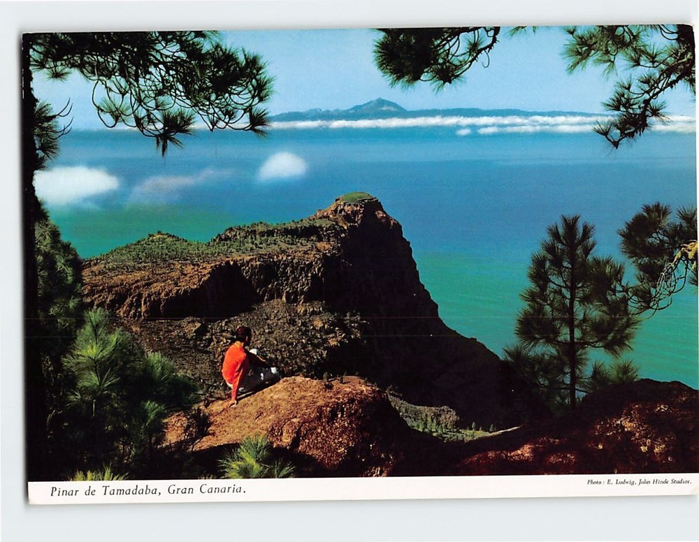 Postcard Pinar de Tamadaba Gran Canaria Las Palmas Spain