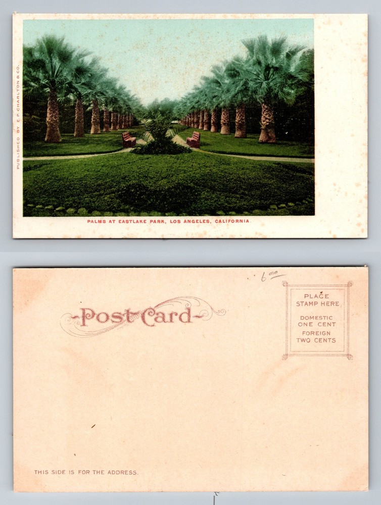 Los Angeles, CA-California, Eastlake Park Palm Avenue Benches Vintage Postcard