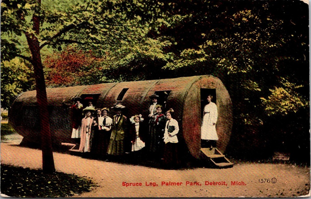 Dr Jim Stamps Postcard Women Standing Outside Spruce Leg Palmer Park Detroit