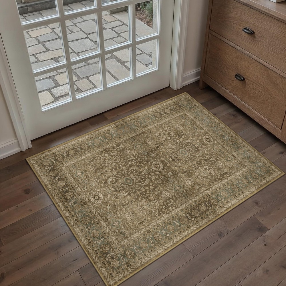 Brown 2x3 Area Rug Washable Vintage Small Carpet for Entryway Kitchen Soft Re...