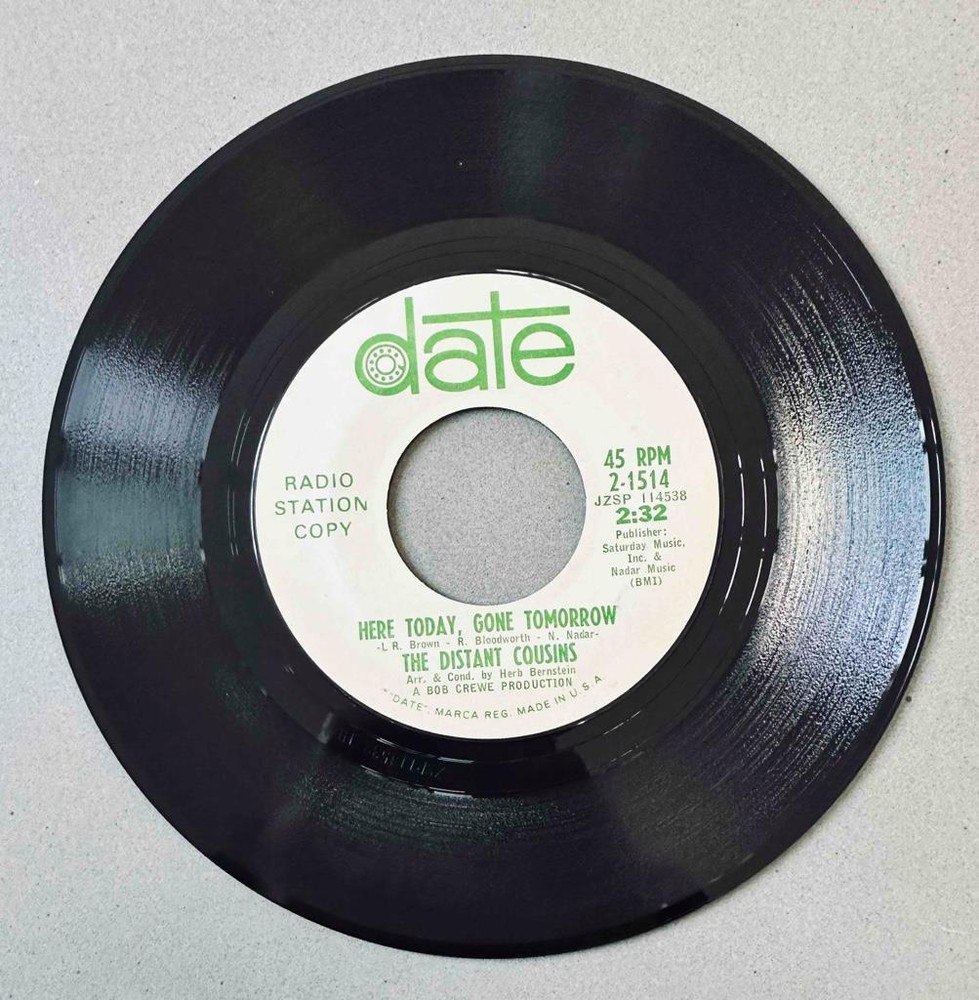 Garage Rock 45 Promo The Distant Cousins - She Ain't Lovin You/Here Today * Date