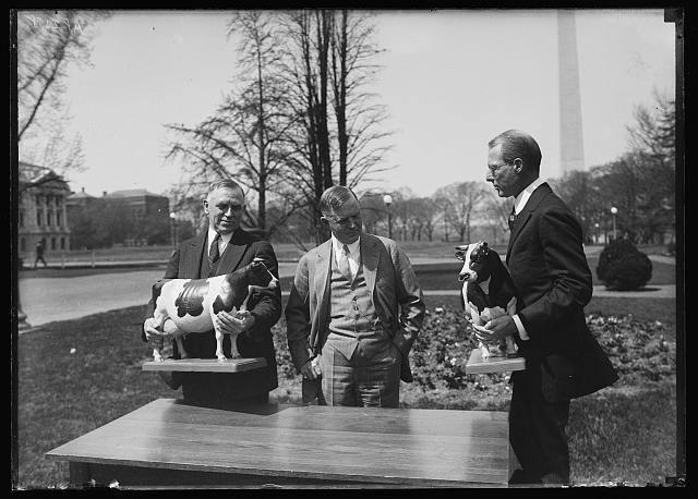 Photo:Washington DC Henry C. Wallace 1930s Washington Monument Cow Figures