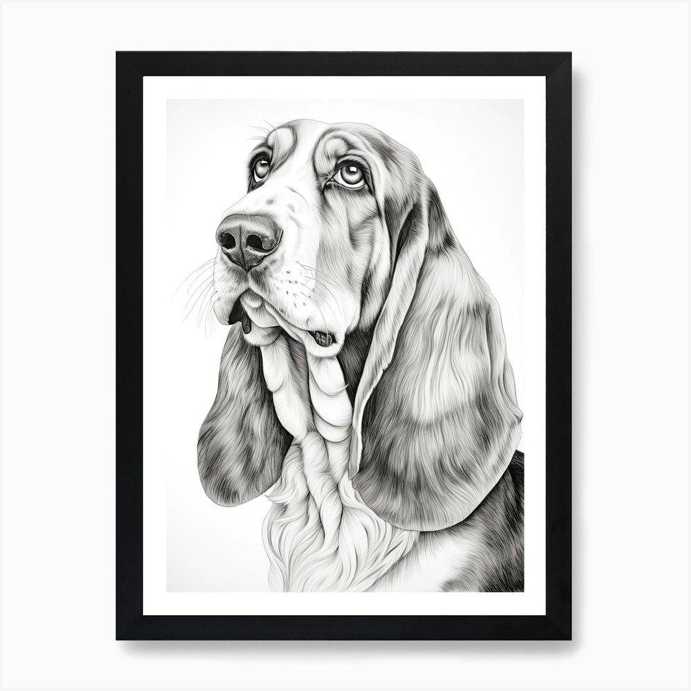 Basset Hound Line Drawing Framed Wall Art Canvas Print Poster