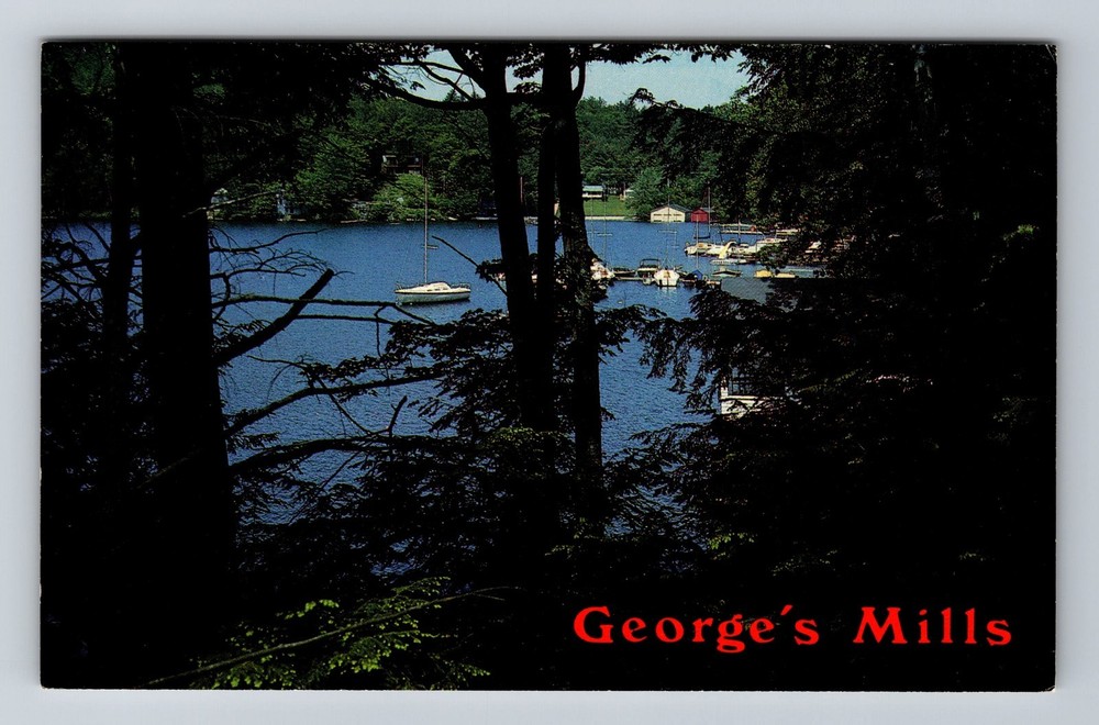 Lake Sunapee NH-New Hampshire Harbor At George's Mills Vintage Postcard