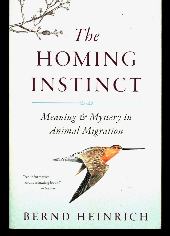 Bernd Heinrich The Homing Instinct Meaning & Mystery In Animal Migration