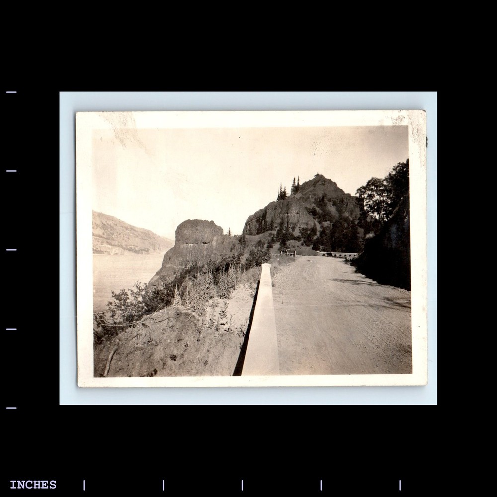 Old Vintage Photo COLUMBIA RIVER HIGHWAY OREGON LANDSCAPE