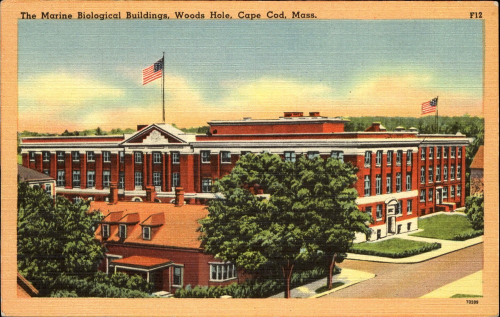 Marine Biological Buildings ~ Woods Hole ~ Cape Cod Massachusetts ~ 1940s linen