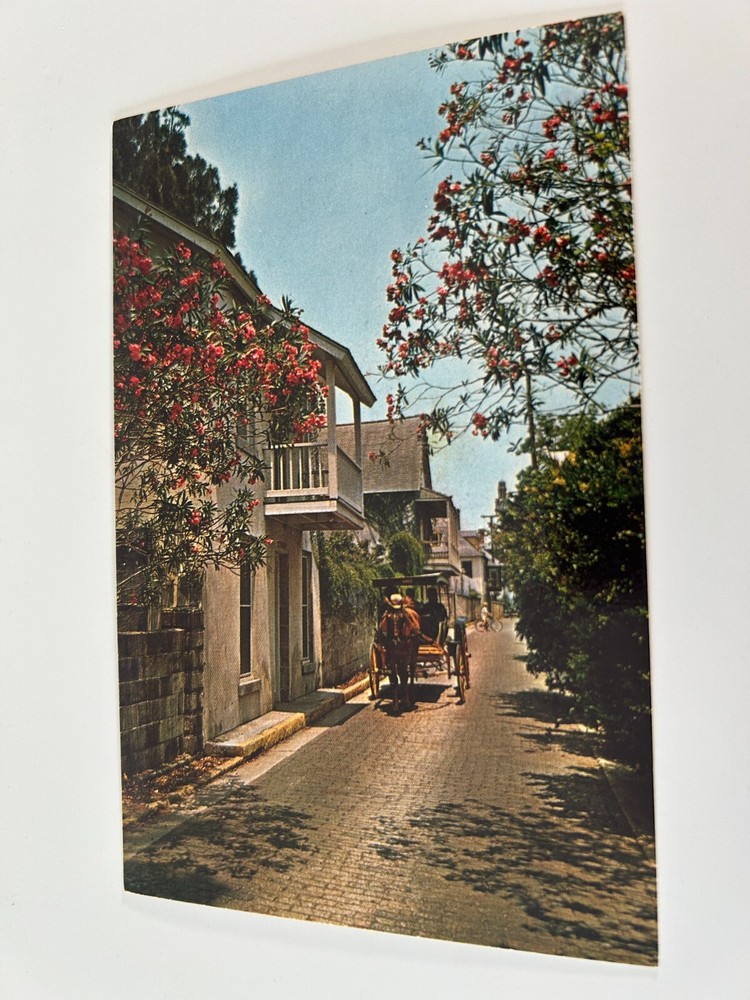 Aviles Street with Horse Drawn Carriage St Augustine Florida Postcard
