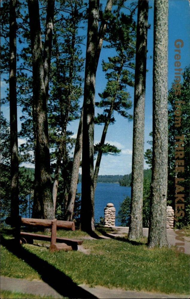 Pine Trees Greetings from Three Lakes Wisconsin ~ 1950s-60s vintage postcard