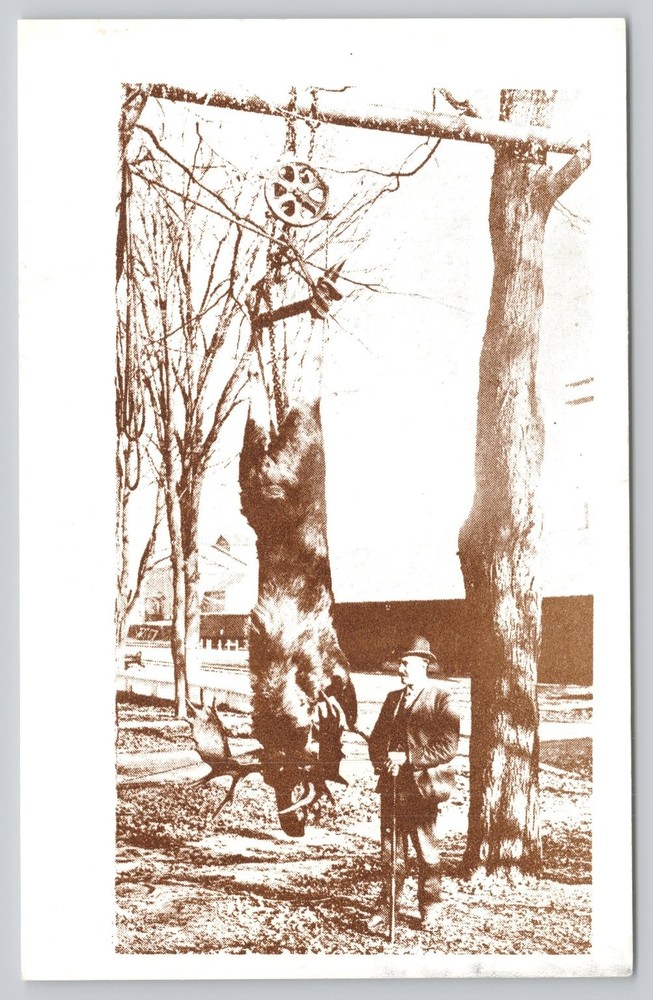 VINTAGE REAL PHOTO POSTCARD Bear Hunt Hunter Big Game Trophy RPPC Early 1900s