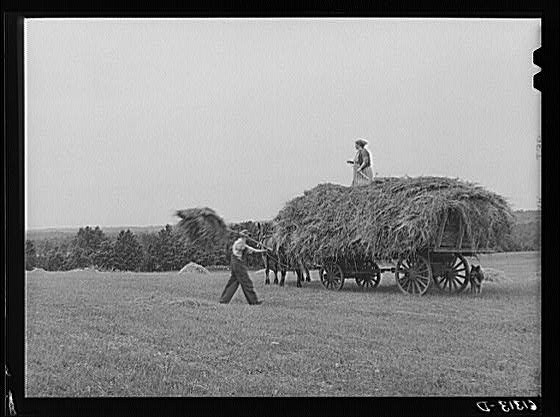 Door County,WI,Wisconsin,Farm Security Administration,John Vachon,1940,FSA,8