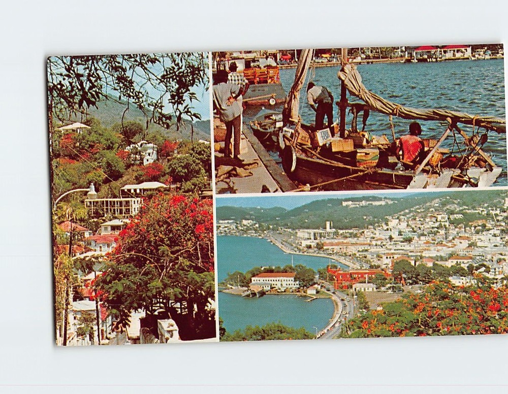 Postcard Greetings from St. Thomas US Virgin Islands