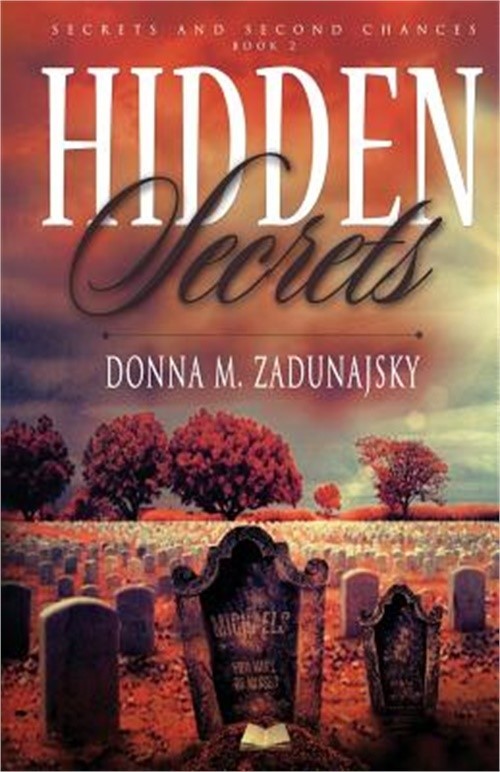 Hidden Secrets (Paperback or Softback)