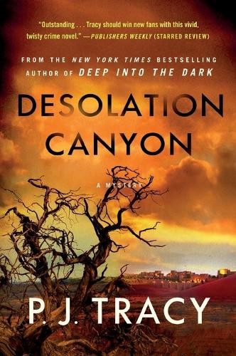 P. J. Tracy Desolation Canyon (Paperback) Detective Margaret Nolan SeriesAnother great item from Rarewaves USA | Free delivery!
